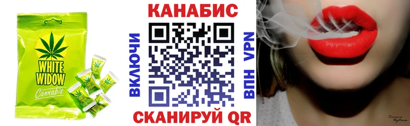 Купить  Сунжа  Canna-Cookies марихуана 