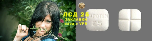 ECSTASY Заволжье