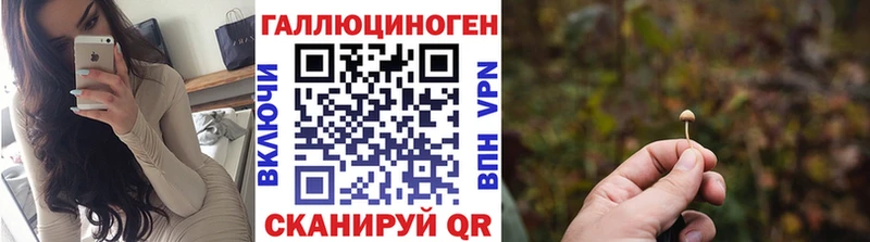 Купить  Сунжа  Галлюциногенные грибы GOLDEN TEACHER 